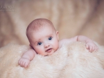 Baby Photography 0136-5