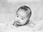 Newborn Photography0138