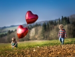 Heart Balloons in Field